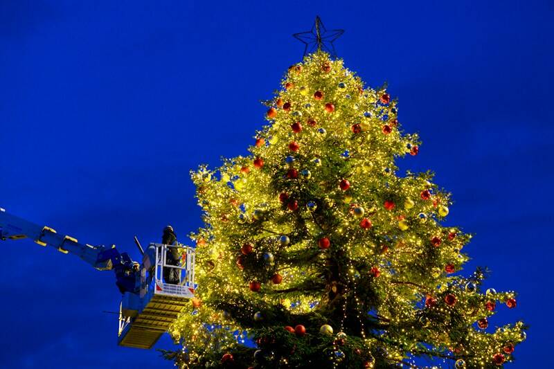 Roma, si accende il grande albero di Natale a piazza Venezia: è alimentato da pannelli solari