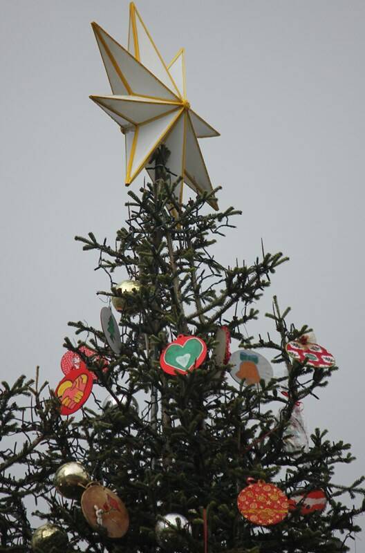 Natale 20202, in piazza San Pietro si accendono albero e presepe a impatto ambientale zero