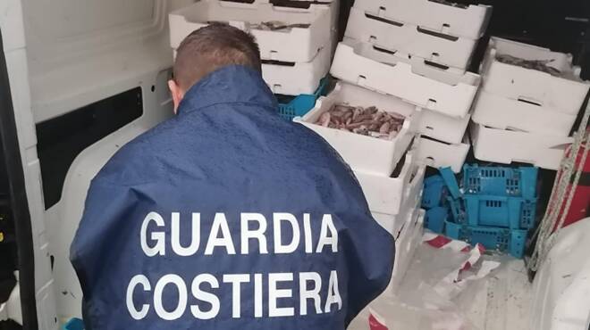 Vendono pesce non tracciato ad Anzio: maxi sequestro al porto