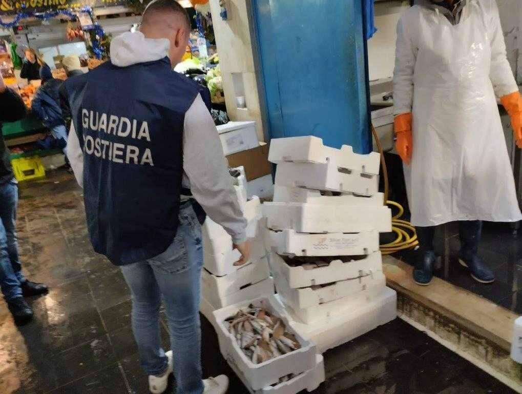 Pesce non tracciato e venduto oltre la data di scadenza: sequestrate 4 tonnellate in tutto il Lazio