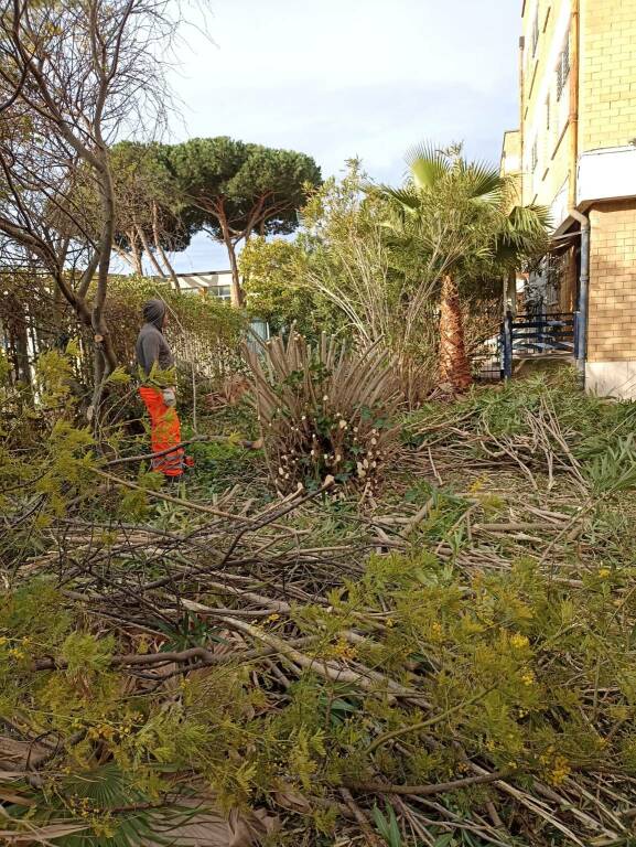 Fiumicino: rimossa la “foresta” che ricopriva l’ex casa del custode della Lido del Faro