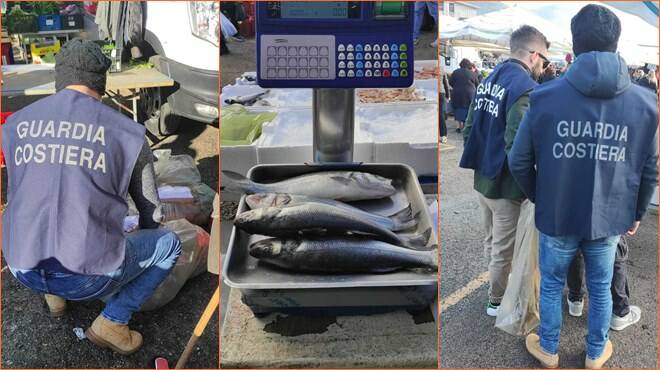 Fondi, controlli della Guardia Costiera al mercato: maxi sequestro di pesce non tracciato