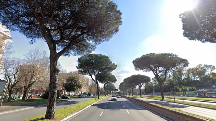 Roma. Via Colombo, al via la messa in sicurezza di tutti i pini nel tratto del VIII Municipio