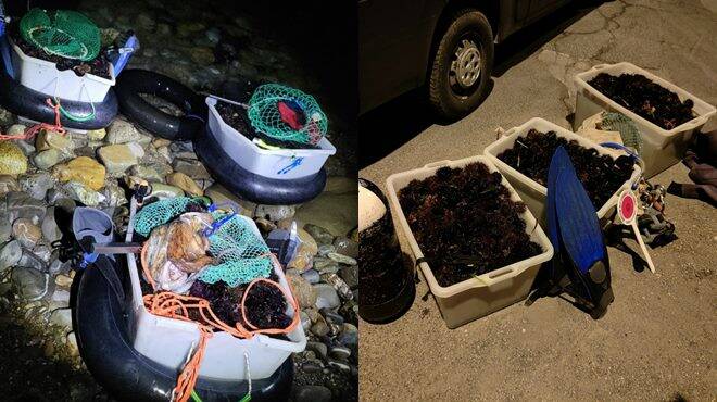 Pescatori di frodo in azione nella notte a Civitavecchia: sequestrati oltre 13mila ricci di mare