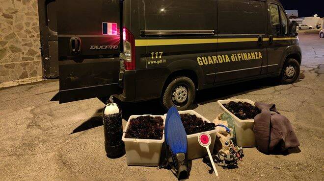 Pescatori di frodo in azione nella notte a Civitavecchia: sequestrati oltre 13mila ricci di mare