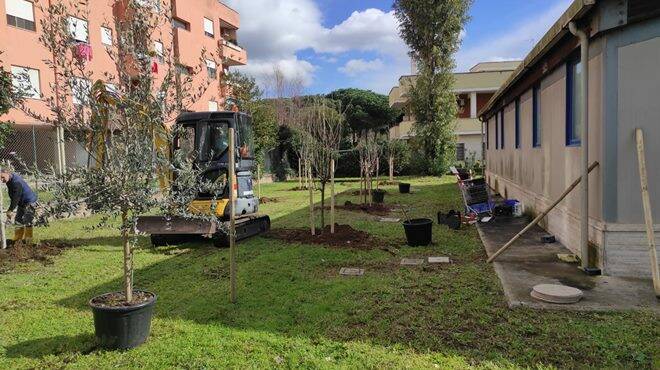 “Progetto Ossigeno”: piantumati 140 alberi e 800 arbusti a Nettuno