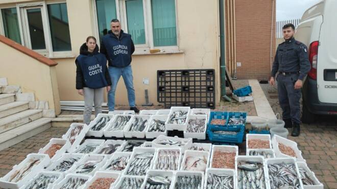 Anzio, vendono pesce marcio e non tracciato: maxi sequestro al porto