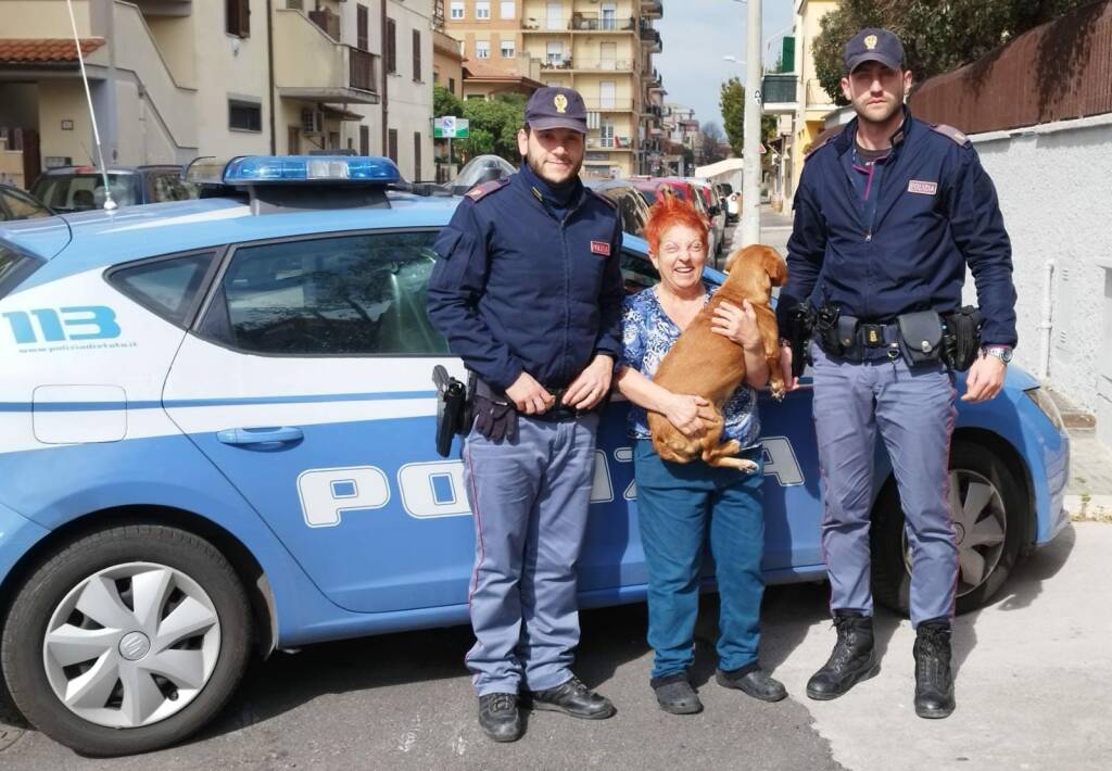 Ladispoli, la Polizia ritrova un cane smarrito e lo riporta a casa
