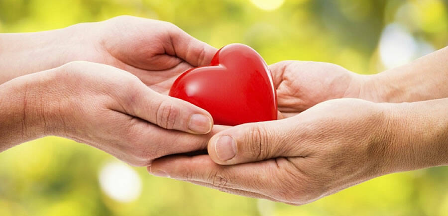 Donazione degli organi e dei tessuti: “Dichiara il tuo sì in Comune a Cerveteri”