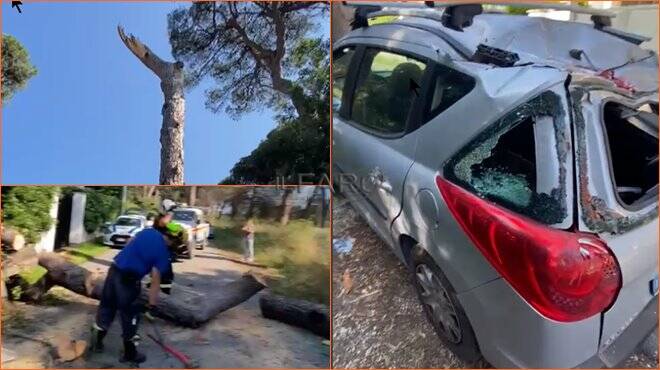 Fregene, boato nella notte: un albero crolla in via Paraggi. Distrutta una macchina