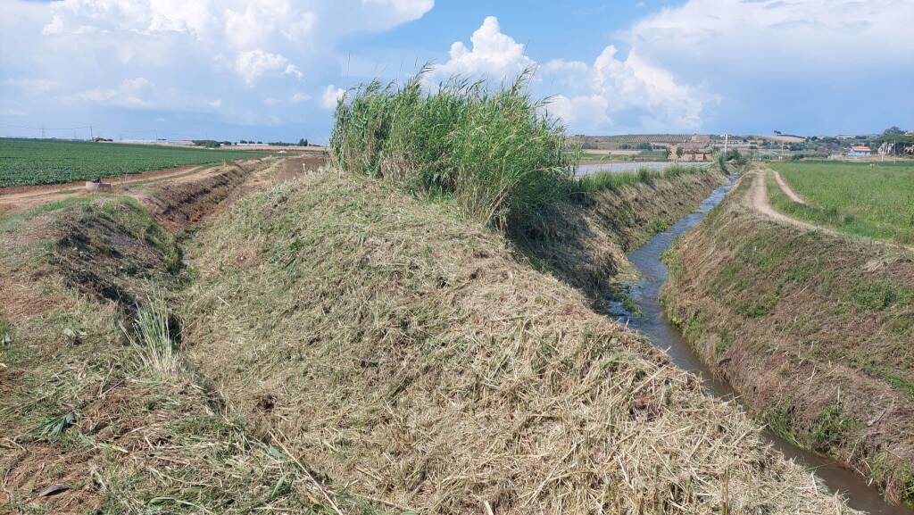 Da Montalto di Castro a Ostia continuano i lavori di bonifica di fossi e canali