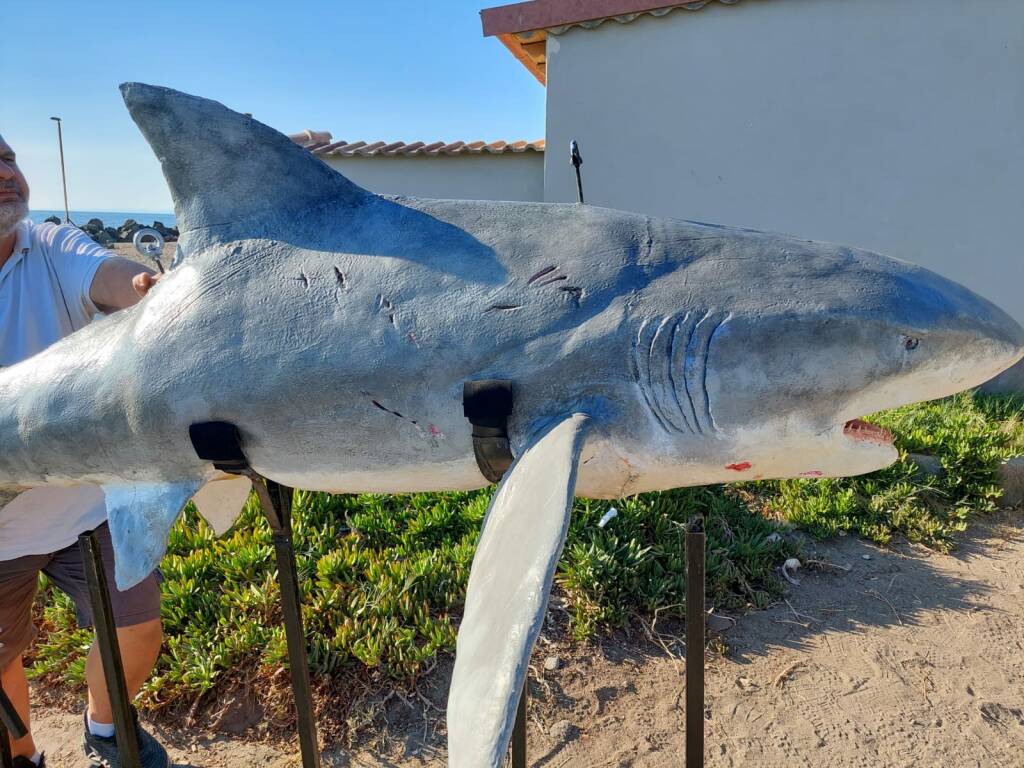 “Denti da squalo”: nei cinema un nuovo film dove il mare di Fiumicino è protagonista