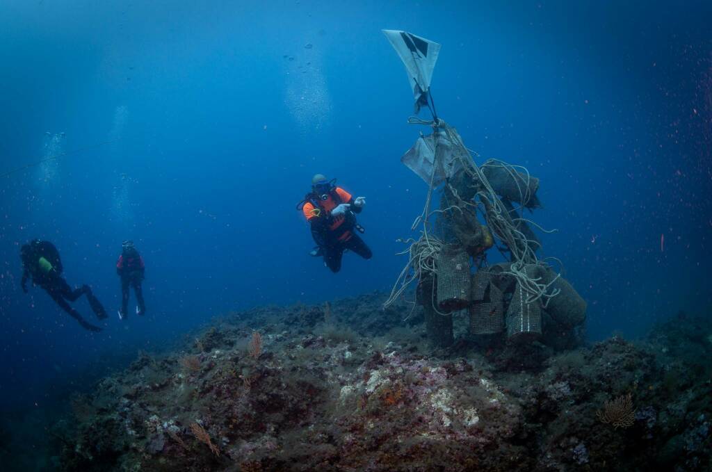 Reti da pesca, nasse e troppa plastica: Greenpeace ripulisce i fondali del Circeo