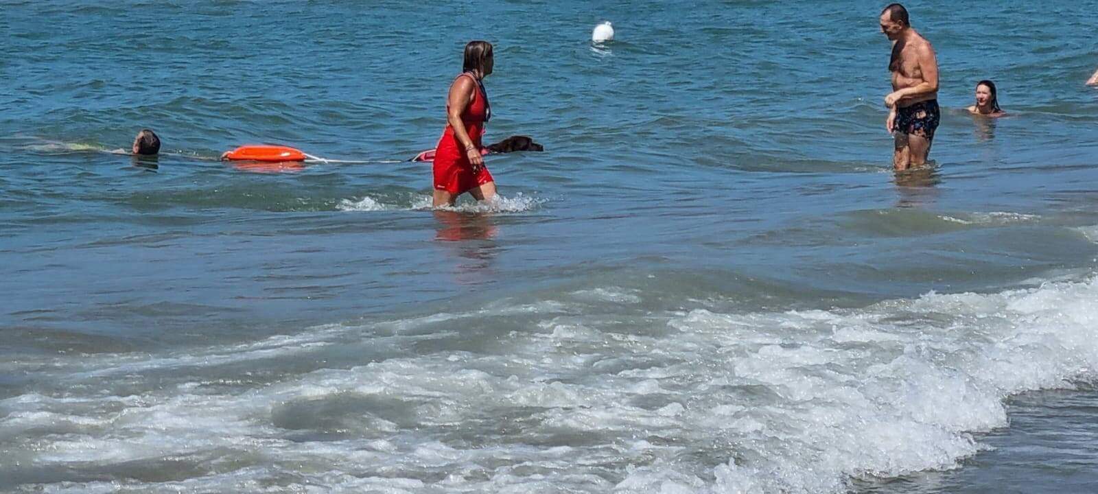 A lezione di sicurezza in mare con i cani bagnini sulle spiagge di Anzio e Nettuno