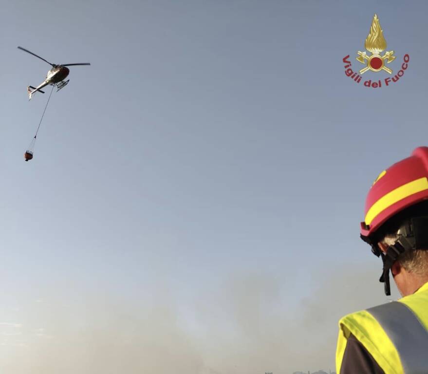 Le fiamme divampano a Ladispoli: bruciati 10 ettari di macchia mediterranea