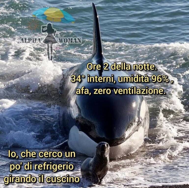 Estate rovente, ironia per combattere l’afa: i meme più divertenti sul caldo