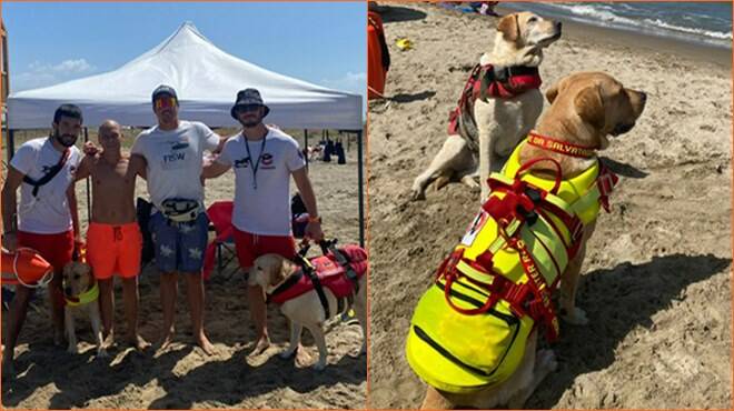 Mare da paura a Ladispoli: i cani bagnino Perla e Argo salvano due persone in poco tempo