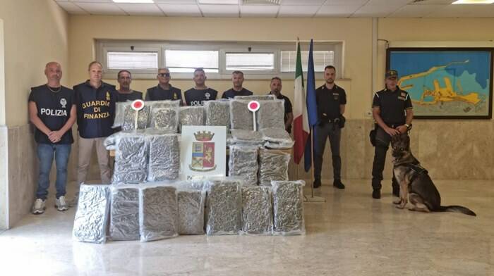 Il cane Kurdo fiuta 113 chili di marijuana: corriere della droga fermato al porto di Civitavecchia