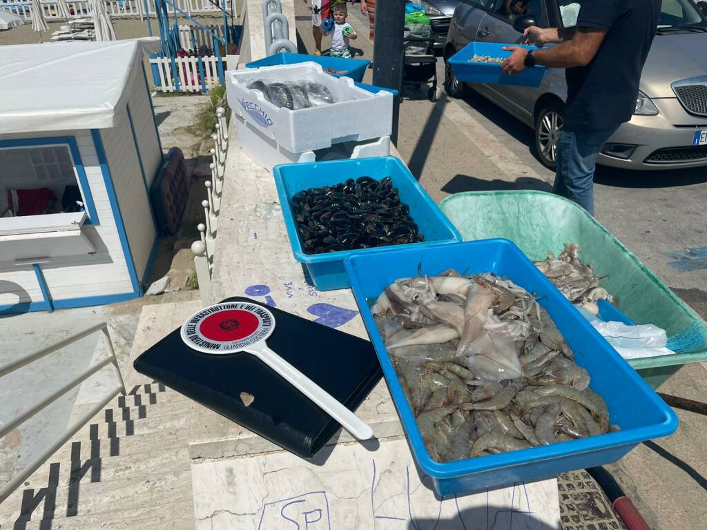 Pesce avariato e non tracciato: maxi sequestro tra Gaeta e Minturno