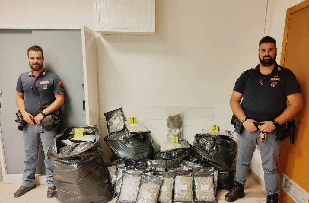 Nasconde 65 chili di marijuana nei sacchi per rifiuti: arrestato corriere della droga a Nettuno