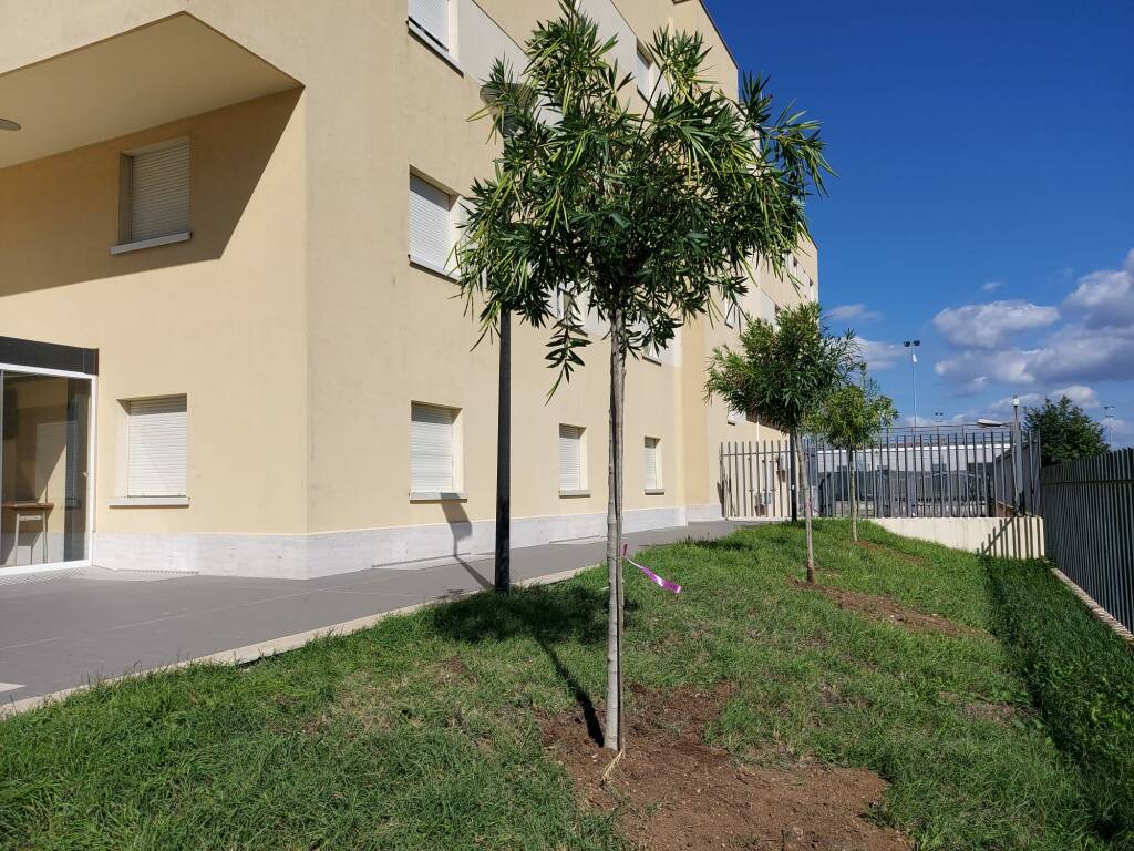 Ardea, avviate le gare per tre nuovi edifici scolastici