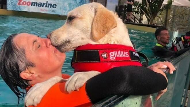 “Splash Dog”: una grande festa a ZooMarine per la Giornata Mondiale del Cane