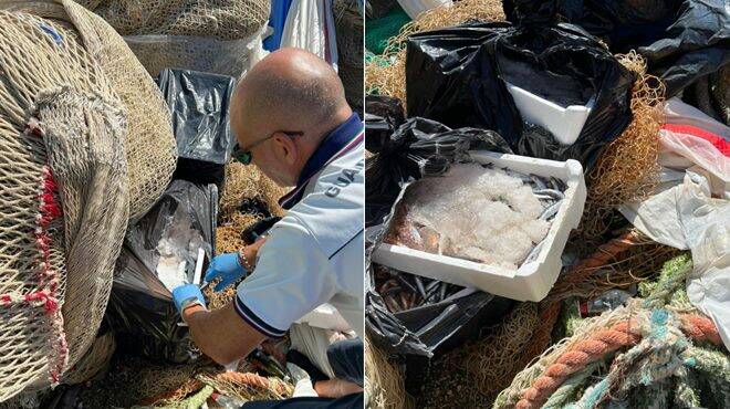 Vendono pesce avariato sulla banchina: maxi sequestro al porto di Anzio