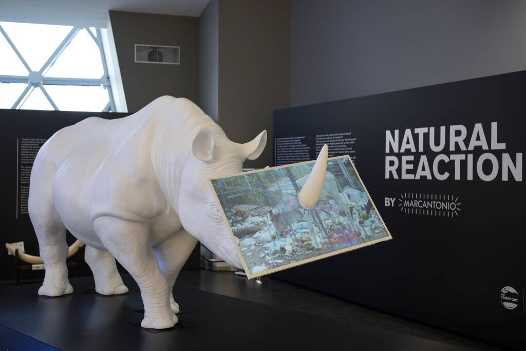 Tra futuro e sostenibilità, un rinoceronte grida aiuto dall’aeroporto di Fiumicino