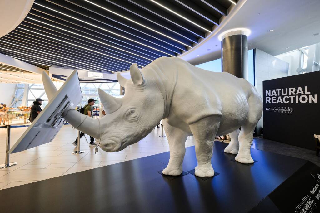 Tra futuro e sostenibilità, un rinoceronte grida aiuto all'aeroporto di Fiumicino