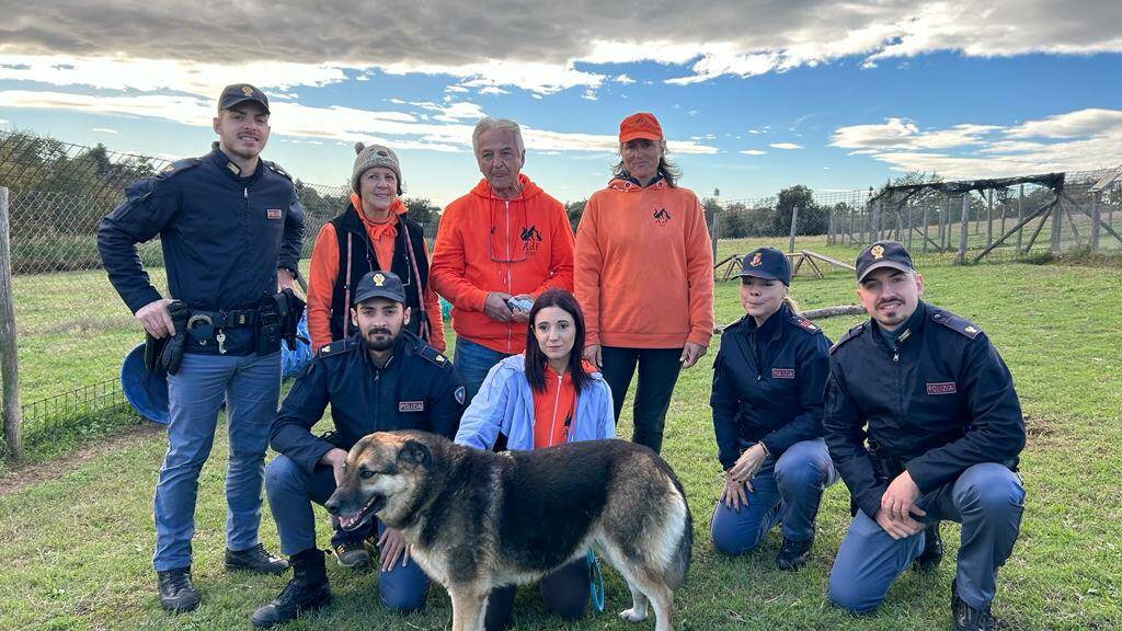 La Polizia di Roma "salva" un cane abbandonato ad Ardea