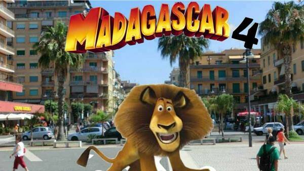 Meme divertenti sul leone di Ladispoli