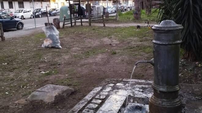 Ostia, il progetto volontario “Noi” ripulisce un’area della pineta Acque Rosse