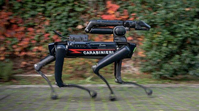 cane robot carabinieri