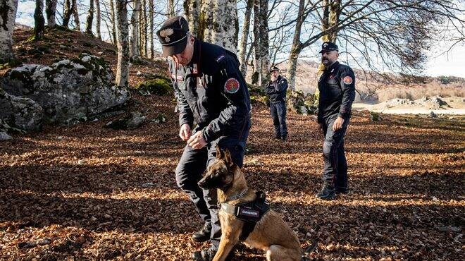 Carabinieri Forestali del Lazio: l’impegno del 2023 a difesa dell’ambiente e della biodiversità