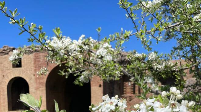 Civitavecchia, grande successo per la XIII edizione di Terme in Fiore