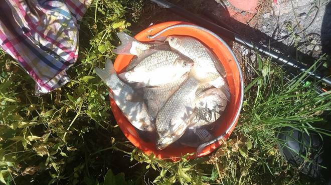 Terracina, lotta alla pesca di frodo: multe per oltre 4mila euro