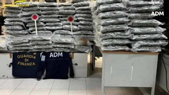 Traffico di droga al porto di Civitavecchia: intercettati oltre 442 kg di marijuana