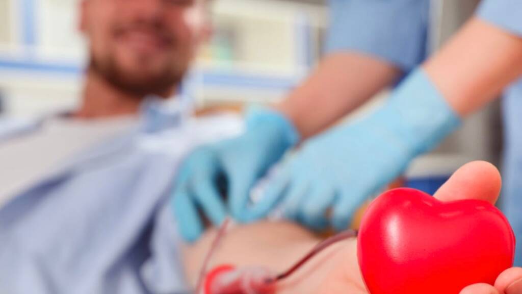 donazione sangue grassi ostia