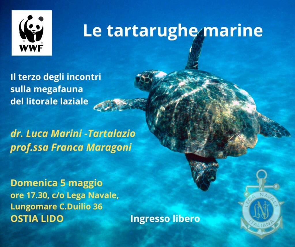 Evento tartarughe marine