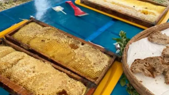 A Parco Leonardo la prima edizione della “Festa delle api”