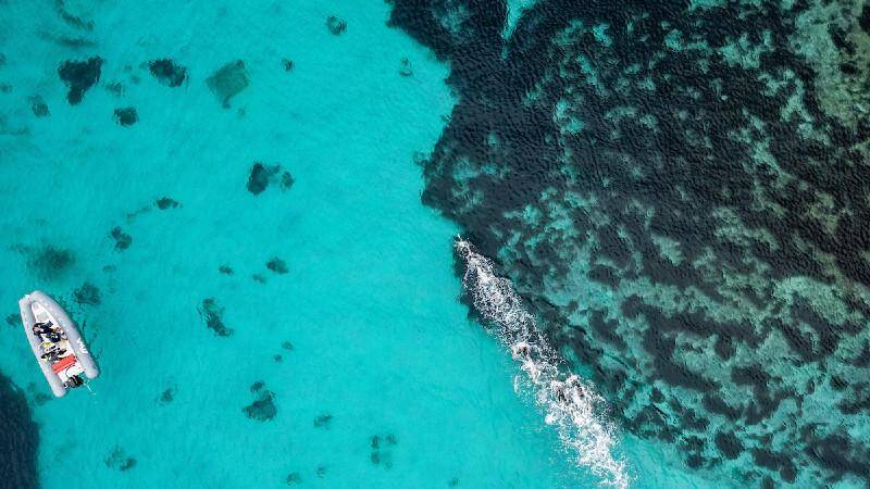 NUOTO DI FONDO FOTO MASINI DBM