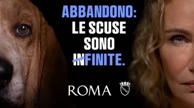 “Basta scuse”: a Roma parte la campagna contro l’abbandono degli animali