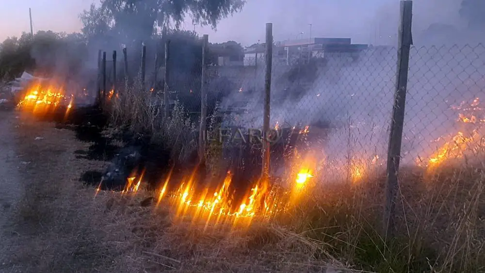 Emergenza rifiuti a Ardea: cumuli abbandonati in fiamme, a rischio alberi e un benzinaio