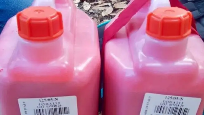 Roma, fermati alcuni attivisti di Ultima Generazione con venti litri di vernice rosa