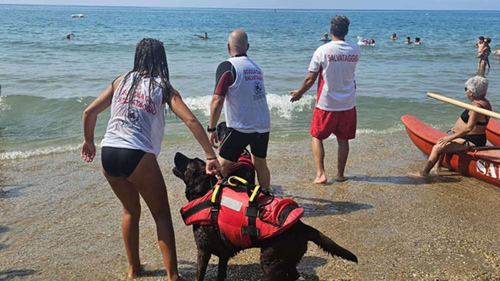 Guardia Costiera, bagnini e cani di salvataggio in azione per la Giornata mondiale della prevenzione dell&#8217;annegamento
