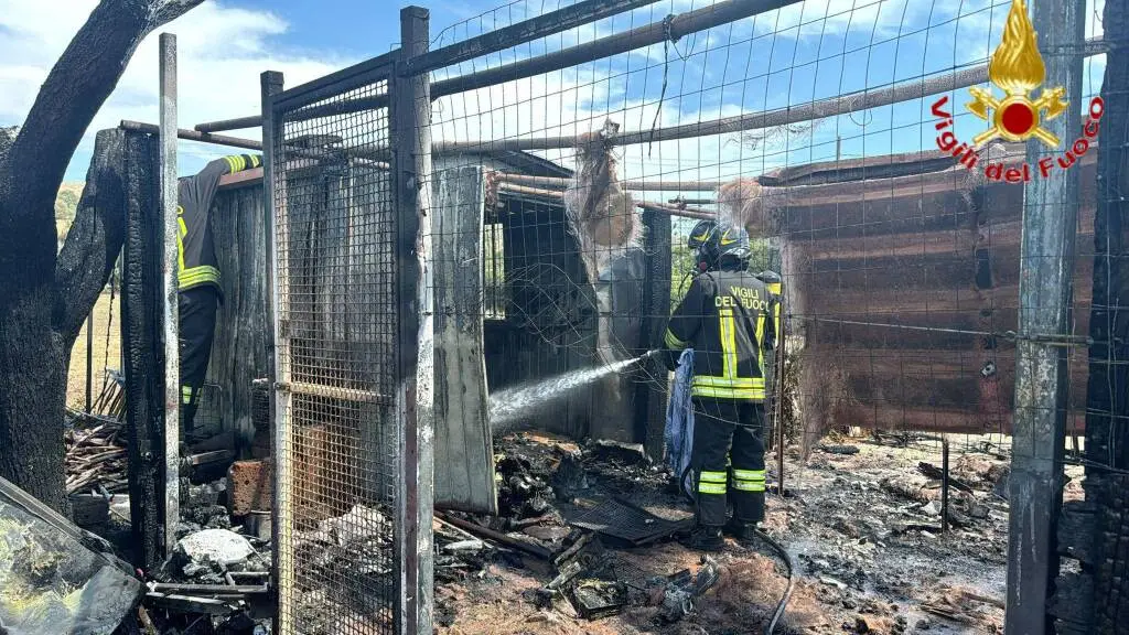 Civitavecchia, a fuoco un baracca: cane muore tre le fiamme