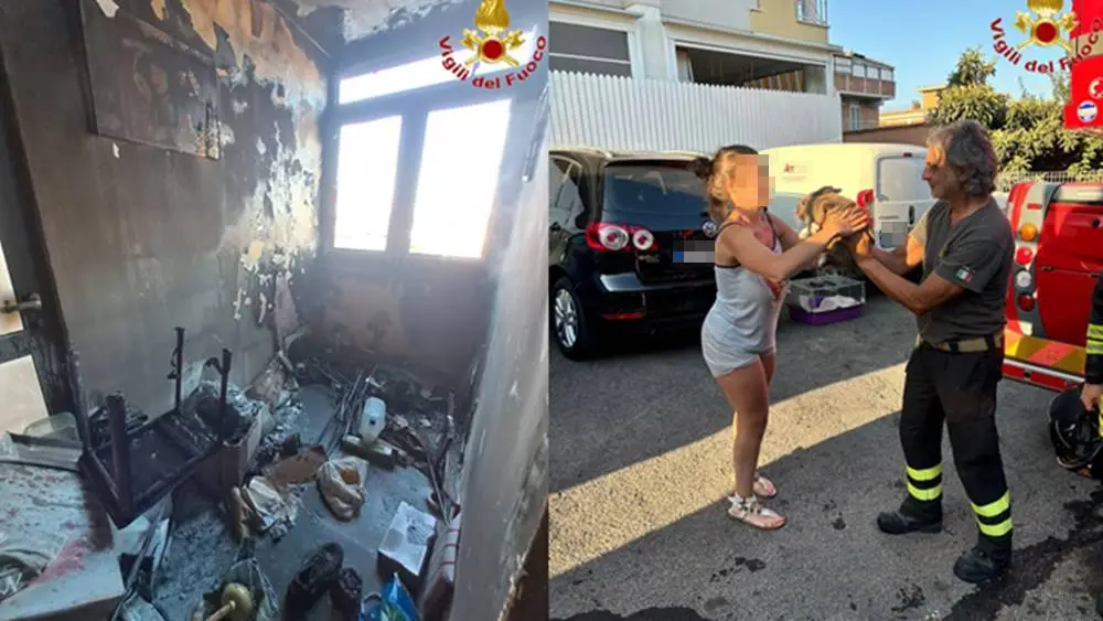 Incendio in un appartamento a Santa Marinella: coniglietto nano salvato dalle fiamme