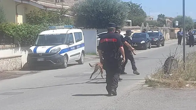 Cani antidroga in azione ad Ardea: l’operazione dei Carabinieri e della Polizia locale