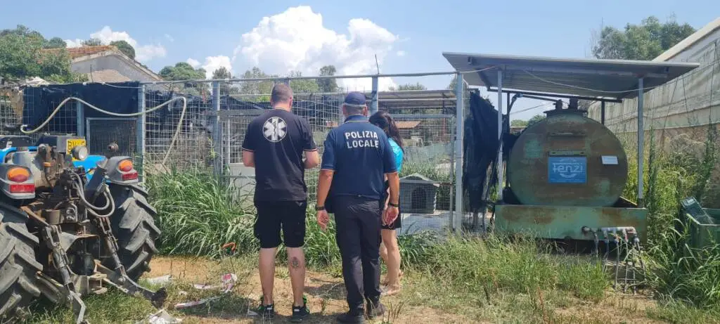 Latina: Celentano segnala cani rinchiusi in gabbia, scattano i sequestri