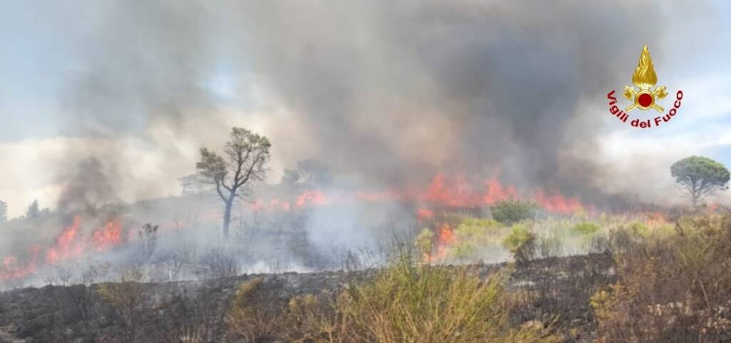 Ferragosto a Latina e provincia, vigili del fuoco in prima linea: 41 interventi